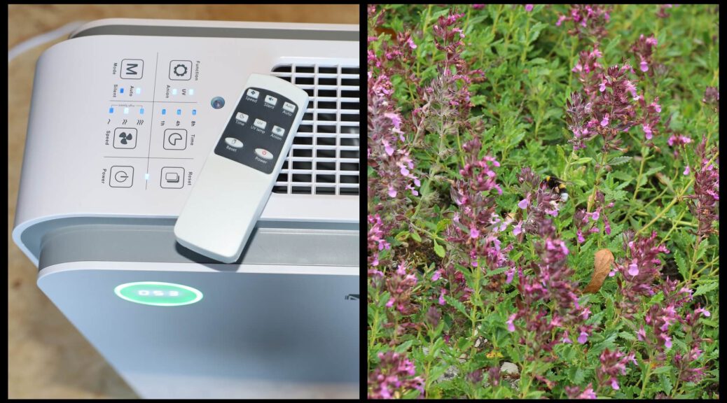 Links der HEPA Luftreiniger, rechts die Blumenwiese, welche Pollenallergie auslösen kann